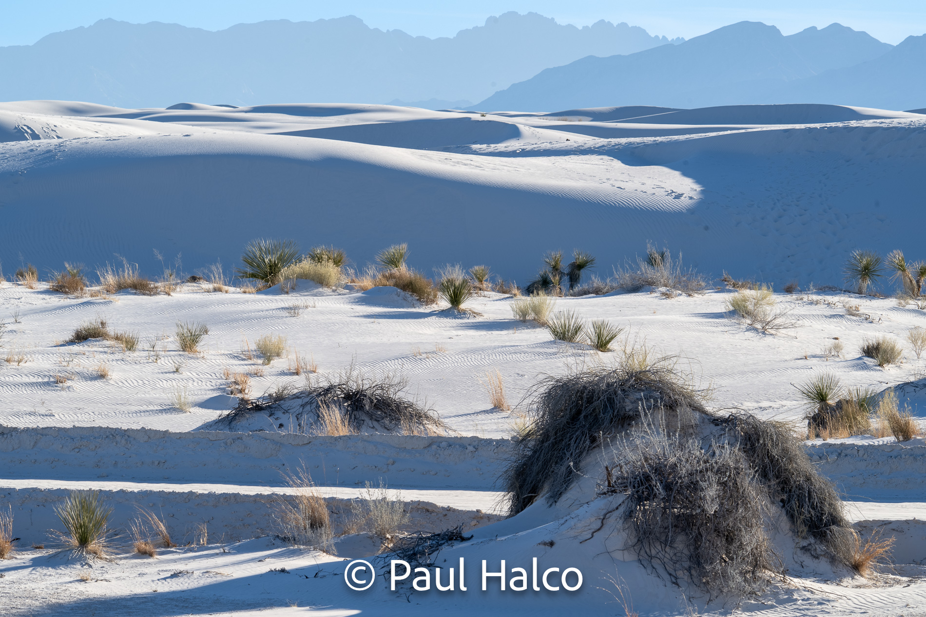 Paul Halco - White Sands NP-2